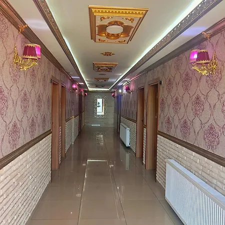 Hotel X *
